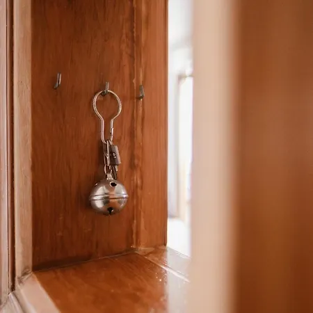 Melo Sur Playa de las Americas (Tenerife)