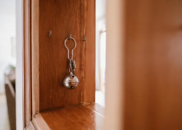Melo Sur Playa de las Américas